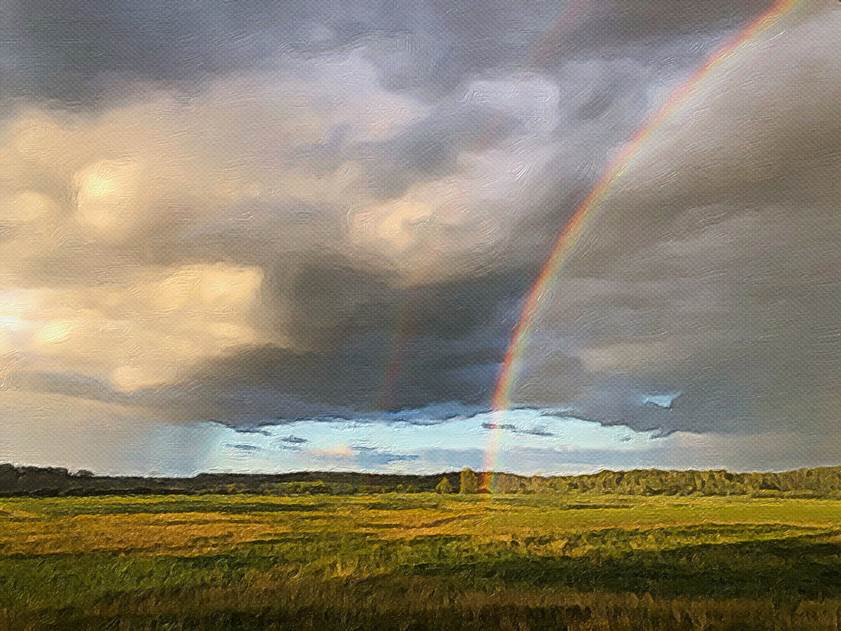 Ein Bild, das Gras, Natur, draußen, Regenbogen enthält.

Automatisch generierte Beschreibung