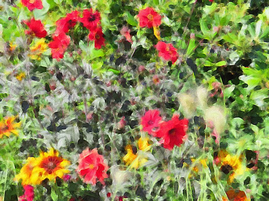 Ein Bild, das Blume, Pflanze, farbig enthält.

Automatisch generierte Beschreibung
