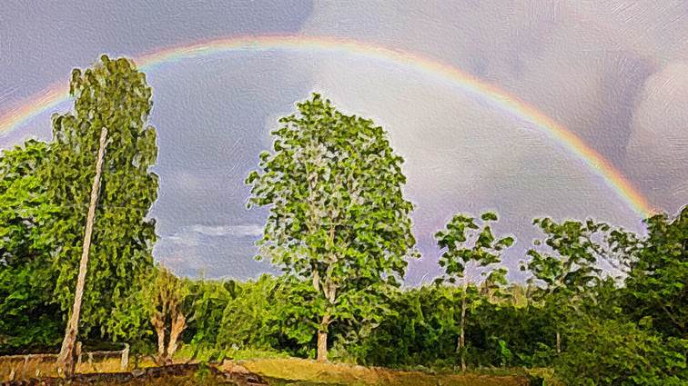 Ein Bild, das Natur, Regenbogen enthält.

Automatisch generierte Beschreibung